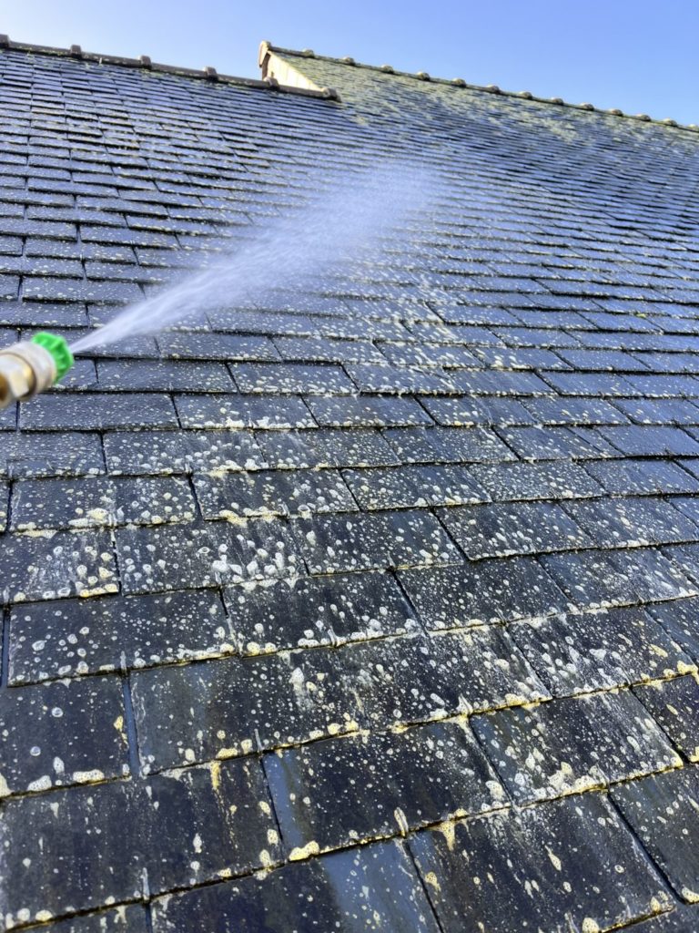 traitement anti mousse - Accueil - Pleyben Quimper